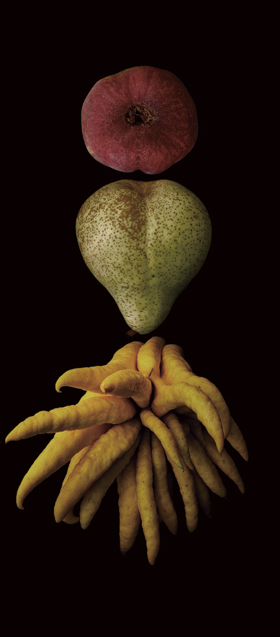 Masumi Shiohara; Portrait of Fruit